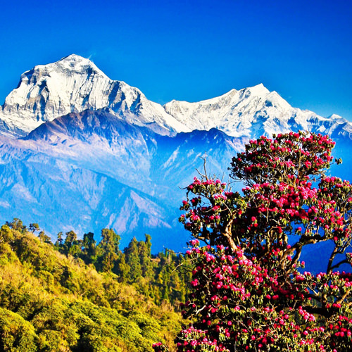 Горные путешествия в Гималаи